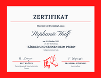 Zertifikat - SehnenB&auml;nder